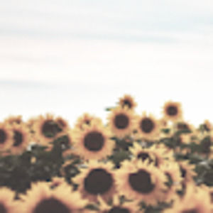 Meet your Posher, Aubrey